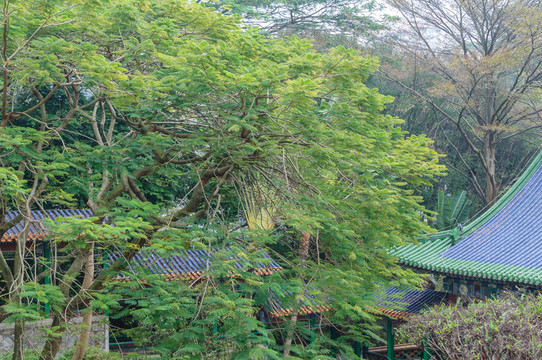 園林景觀