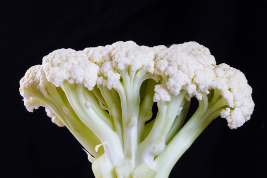 有機(jī)花菜