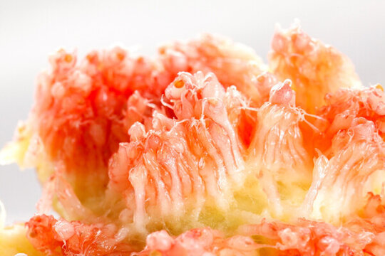 無(wú)花果