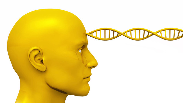 金色喚醒男性頭部DNA