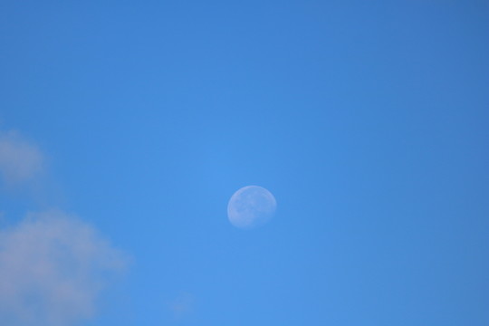 藍(lán)天
