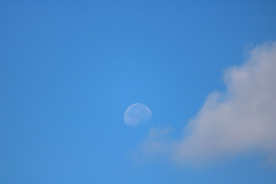 藍(lán)天