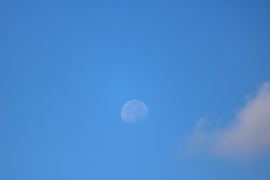 藍(lán)天