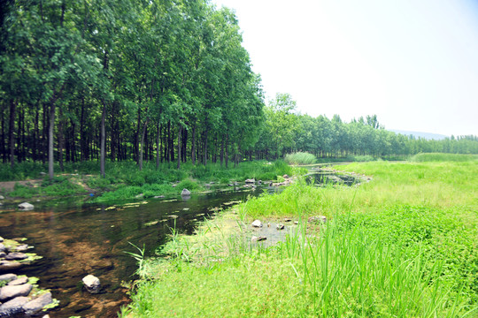 小河溪流