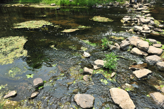 小河 溪流