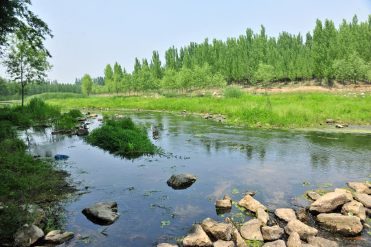 青山綠水 山清水秀