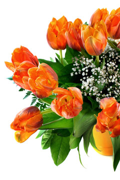 tulpenstrau