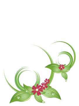 花卉
