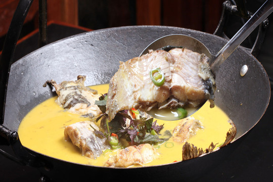 回頭魚(yú)