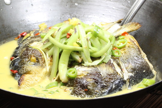 雄魚頭