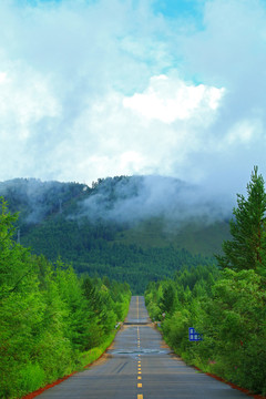 林海山路云霧