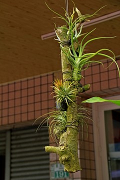奮起湖