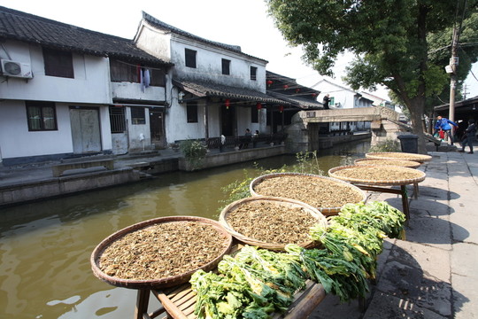 安昌古鎮(zhèn)