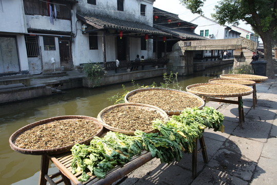 安昌古鎮(zhèn)