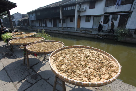 安昌古鎮(zhèn)
