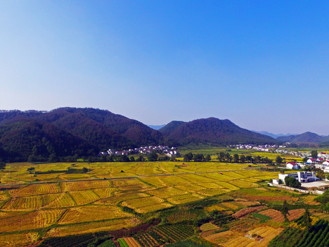 田野風(fēng)光