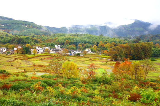 塔川秋色風光