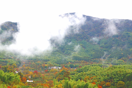 塔川