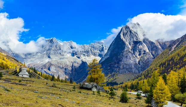 云杉林雪山