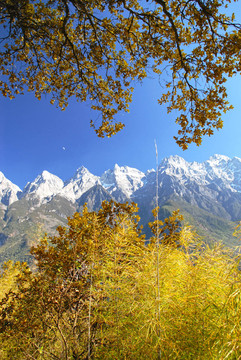 玉龍雪山
