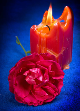 藍(lán)色的花