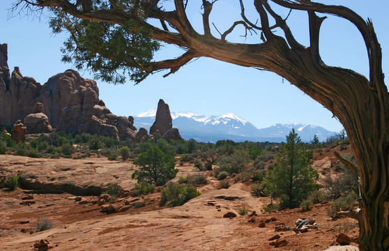 山
