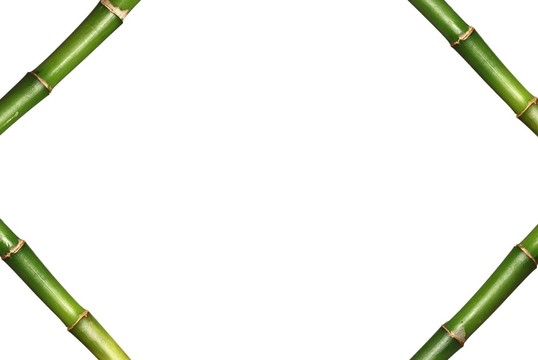 竹