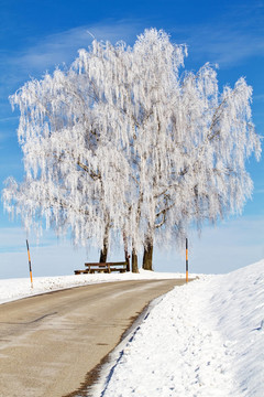 魔鬼公路穿越冰雪覆蓋的風(fēng)景