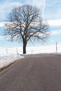 魔鬼公路的雪景