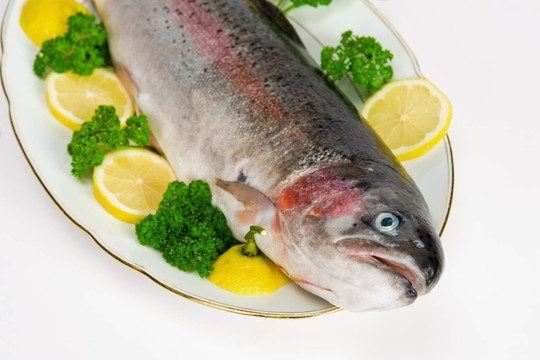 魚