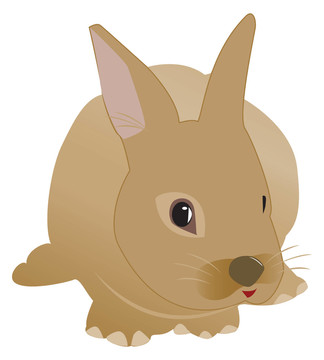 動物