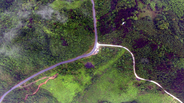 安徽稠嶺公路
