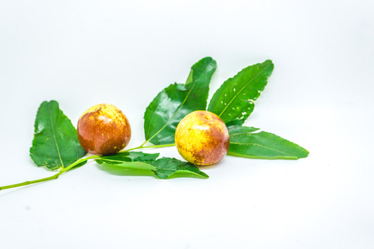 冬棗大棗 水果素材 進(jìn)補(bǔ)食材