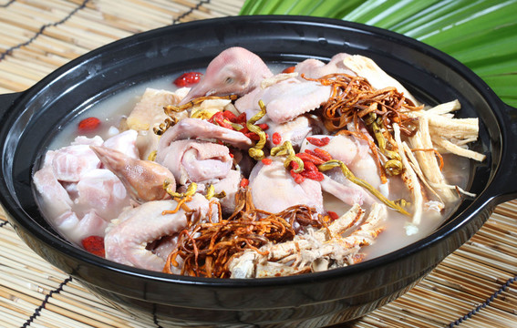 宮廷養(yǎng)生御品鴿