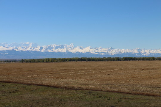 麥田 土路