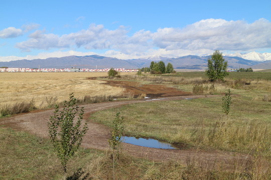 麥田 土路