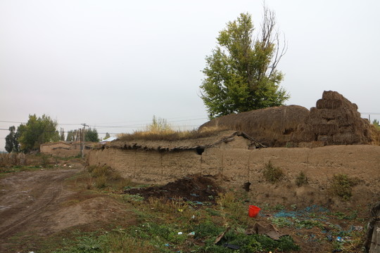 農(nóng)家草垛