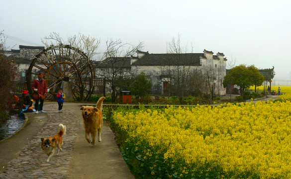 古村春色