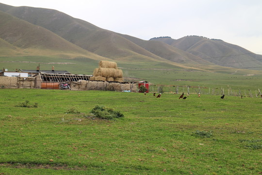 山村美景