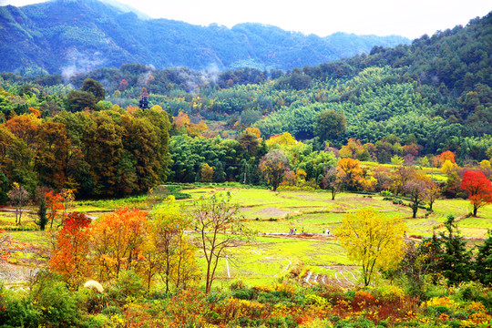 塔川秋色