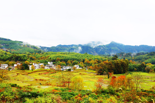 塔川