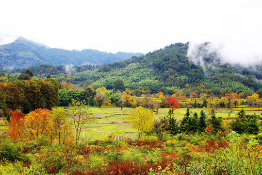 塔川