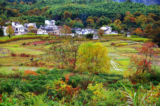 塔川