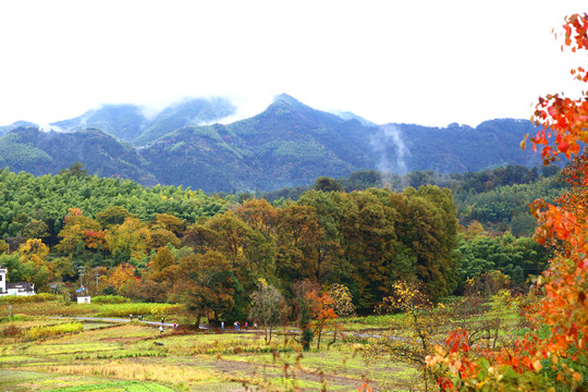 塔川秋色風(fēng)光