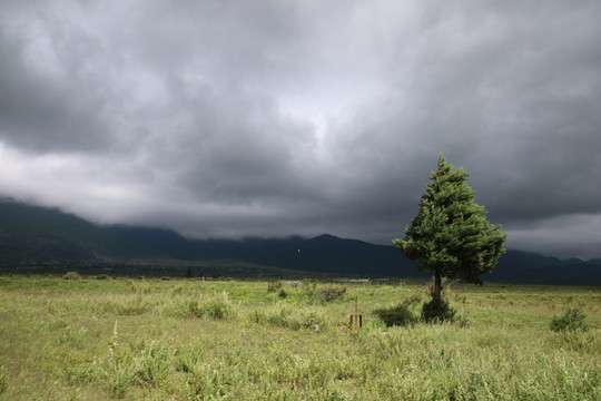 風(fēng)景