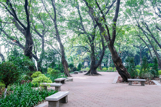廣州流花湖公園景觀