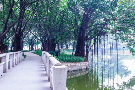 廣州流花湖公園景觀
