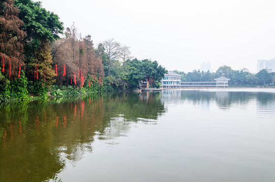 廣州荔灣湖公園景觀