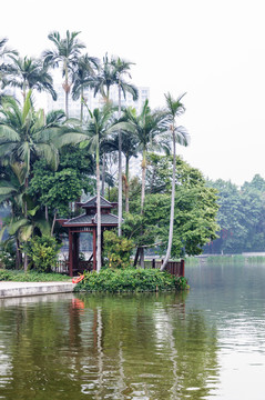 廣州荔灣湖公園景觀