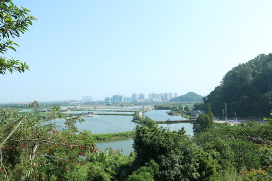桑基魚(yú)塘